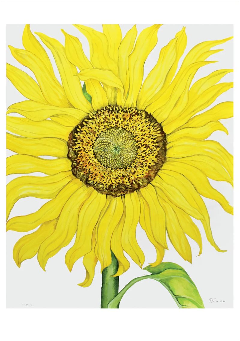 Rosalind Wise: Sunflower Birthday Card