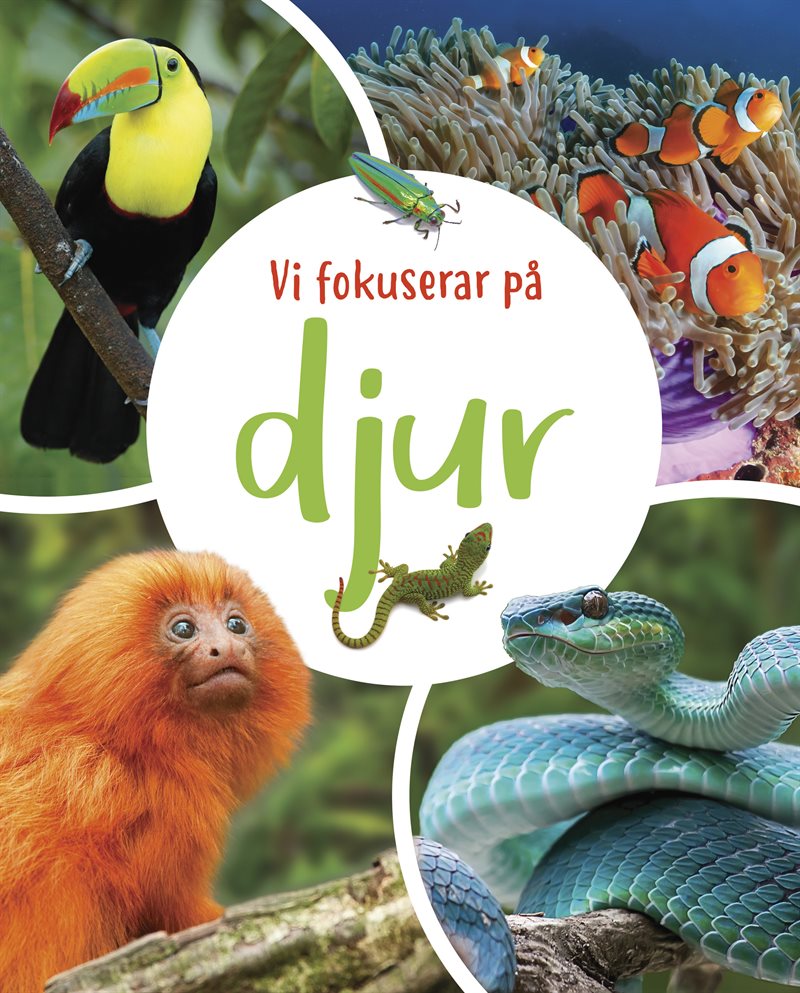 Vi fokuserar på - Djur