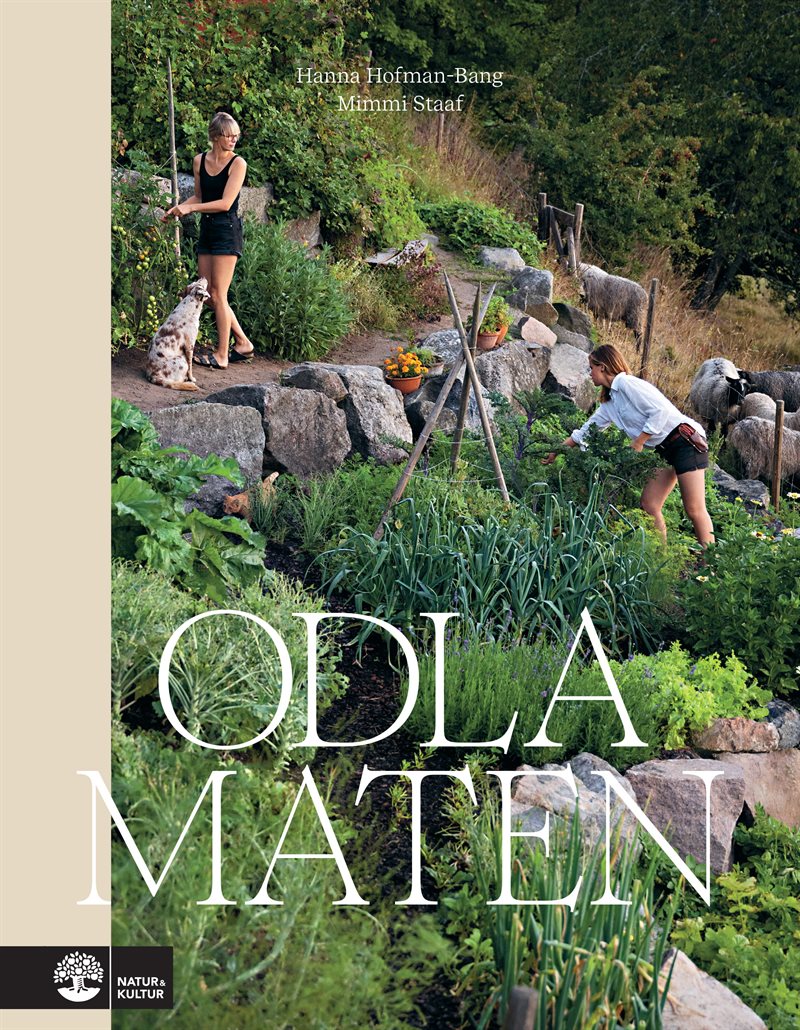 Odla maten