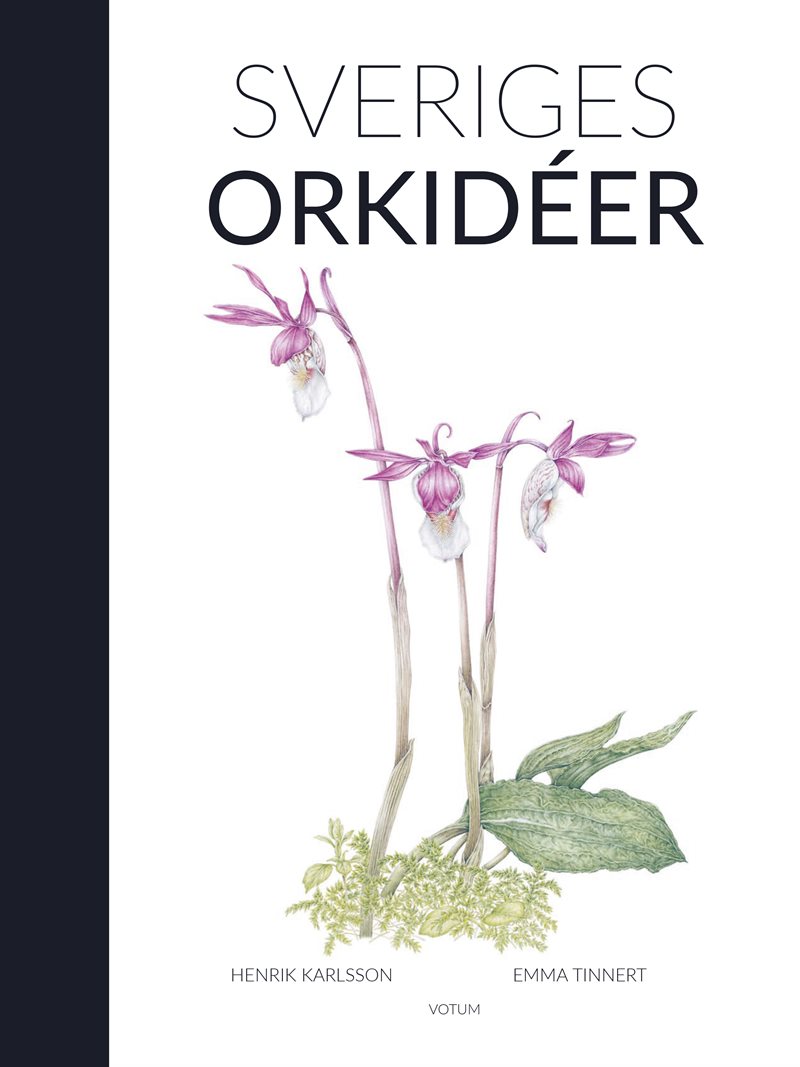 Sveriges orkidéer